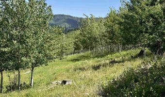 CR 501, Bayfield, CO 81122