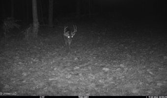 2233 Holloman Rd, Bentonia, MS 39040