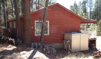 14 16 N CR 2057, Alpine, AZ 85920