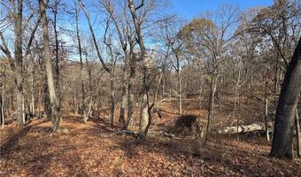 451403 Pheasant Cir Lot 56, Afton, OK 74331