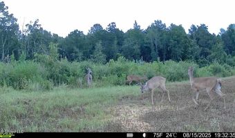 Ebenezer Church Road, Bassfield, MS 39421