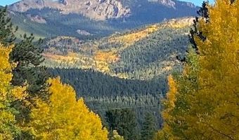 104 Six Bits St, Bailey, CO 80421