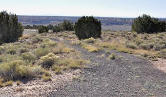 623 C Lazy S Ranch Rd, Concho, AZ 85924