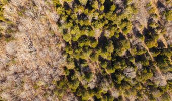 1789 County Road 226, Alton, MO 65606