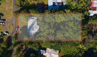 236 Lyman Ave, Hilo, HI 96720
