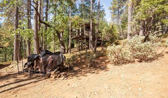 1530 Patricia Ln, Arnold, CA 95223