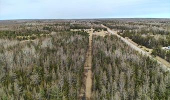 5280 Cathro Rd, Alpena, MI 49707