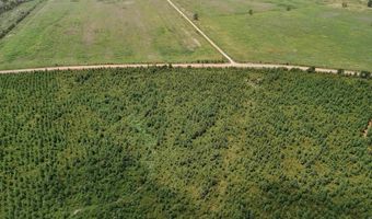 Copeland Ridge Road, Arkadelphia, AR 71923