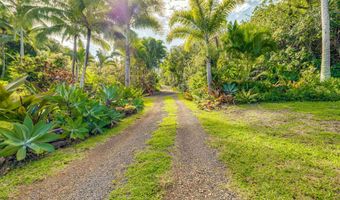 1004 N Honokala Rd B, Haiku, HI 96708