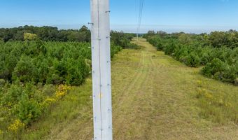 20 Ac State Hwy 95 Columbia Rd, Abbeville, AL 36310