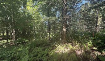 1416 Clif Reynolds Rd 3, Cambridge, VT 05444