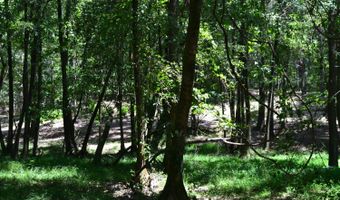 0 County Rd 22, Auburn, AL 36830