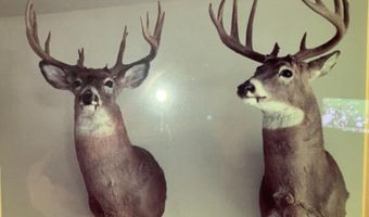 9606 MUNGER Rd, Afton, MI 49705