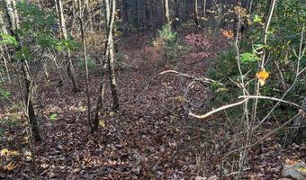 Musket Dr lot 66, Almond, NC 28702