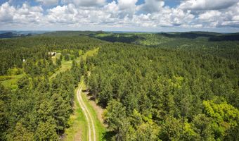 336 Middle Fork Rd, Devils Tower, WY 82714