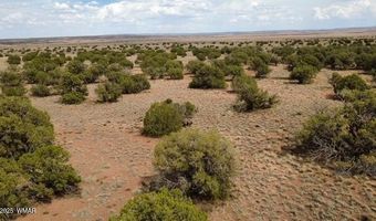 137 N5525, Concho, AZ 85924