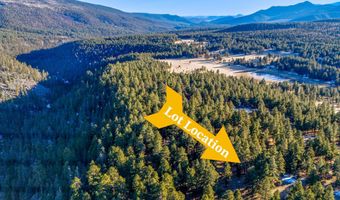 66 Mora Ranch Rd, Angel Fire, NM 87710