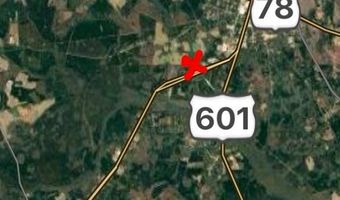 4834 MAIN HWY. 301, Bamberg, SC 29003