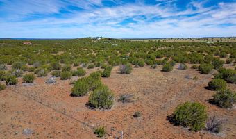84 County Road N8149, Concho, AZ 85924