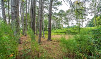 Tract 1 Highway 99, Anderson, AL 35610