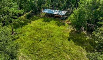 12 5+/- Acres Zell Ready Rd, Andalusia, AL 36421