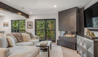 650 S Monarch St 7, Aspen, CO 81611