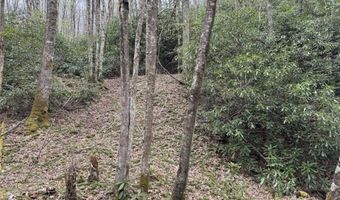 62 Acres Buckeye Ridge Rd, Beech Mountain, NC 28604