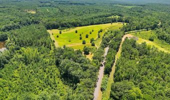 568 COUNTY ROAD 15 Lot 1, Autaugaville, AL 36003