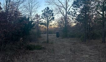 412110 E 1900 Rd, Antlers, OK 74523
