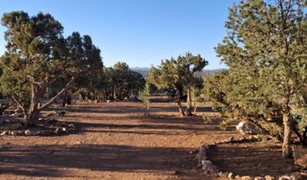 690 CR 8235 Dr, Concho, AZ 85924