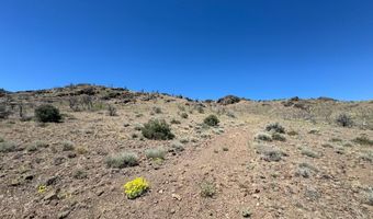 930 Cavelti Rd, Gardnerville, NV 89410
