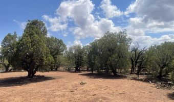 4934 Elk Trail Rd, Clay Springs, AZ 85923