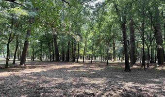 0 CR 3201 & CR 3203, De Kalb, TX 75559