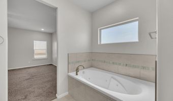 920 Texas Madrone Dr, Socorro, TX 79927