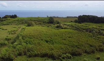 1-3 PRIVATE Rd, Hakalau, HI 96710