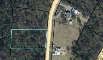 Monogahela Avenue, Alford, FL 32420