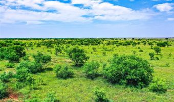 5260 County Road 268, Anson, TX 79501
