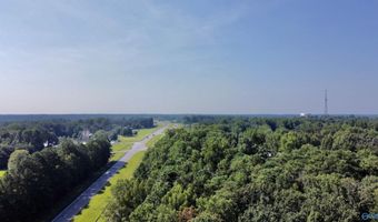 2 93 Acres Highway 231, Arab, AL 35016