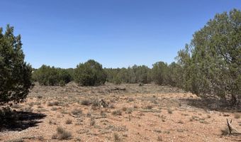 39303 N Bullock Rd, Ash Fork, AZ 86320