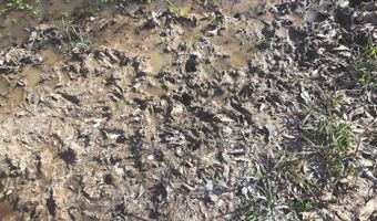 Bogue Chitto Road, Bogue Chitto, MS 39629