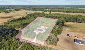 4906 36th St, Bell, FL 32619