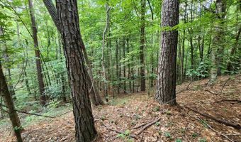Tbd Bahalia Rd, Brookhaven, MS 39601