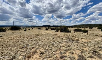17 County Road N8034, Concho, AZ 85924