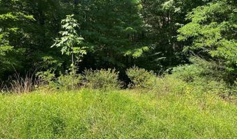 3 Clear Fork Creek Rd 31, Bastian, VA 24314