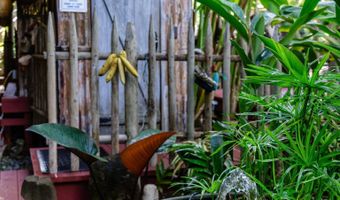 1780 Kauhikoa Rd, Haiku, HI 96708