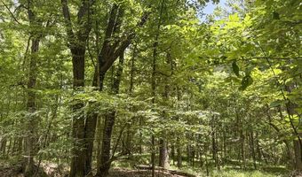 Pine Lodge Road, Batesville, MS 38606