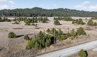 10201 Packsaddle Rd, Cascade, ID 83611