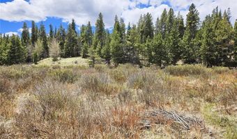 700 Looney Ln Lot 0, Alma, CO 80420