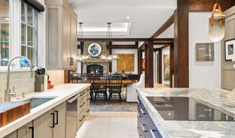 289 Exhibition Ln, Aspen, CO 81611