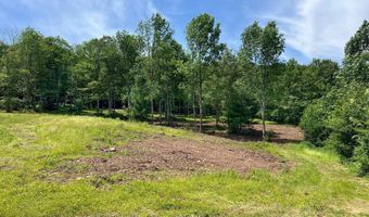 0 Woodland Hills Rd, Andes, NY 13731